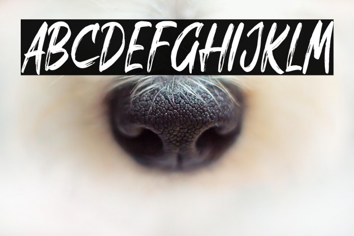 SREGALE Regular Example 1