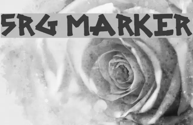 SRG MARKER フォント examples