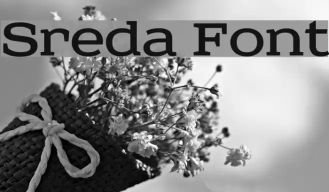 Sreda Font examples
