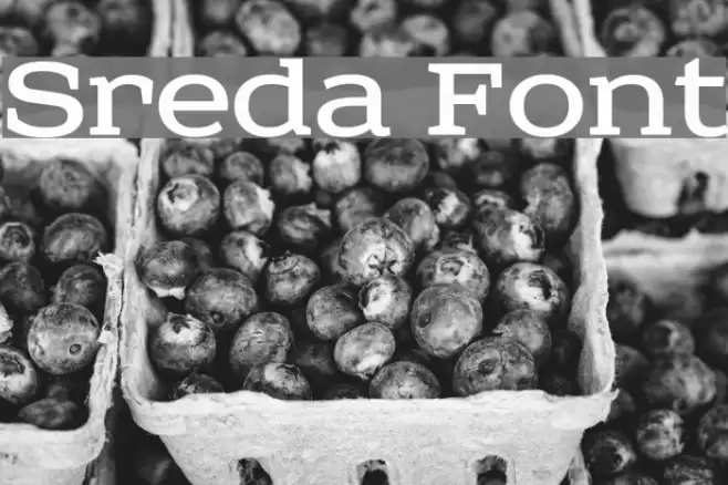 Sreda Font examples