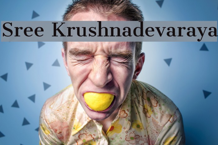 Sree Krushnadevaraya Font examples