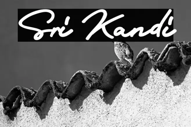 Sri Kandi Font examples