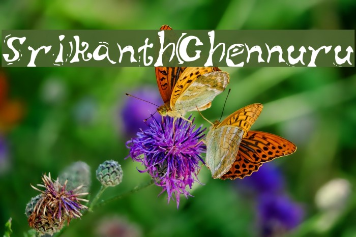 SrikanthChennuru Example 1