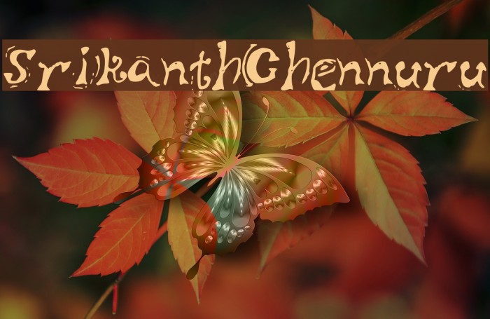 SrikanthChennuru Example 3