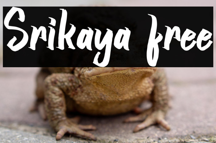 Srikaya free Example 3