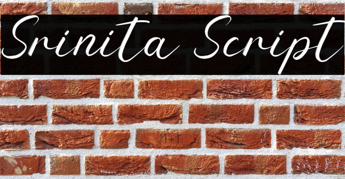 Srinita Script Example 2