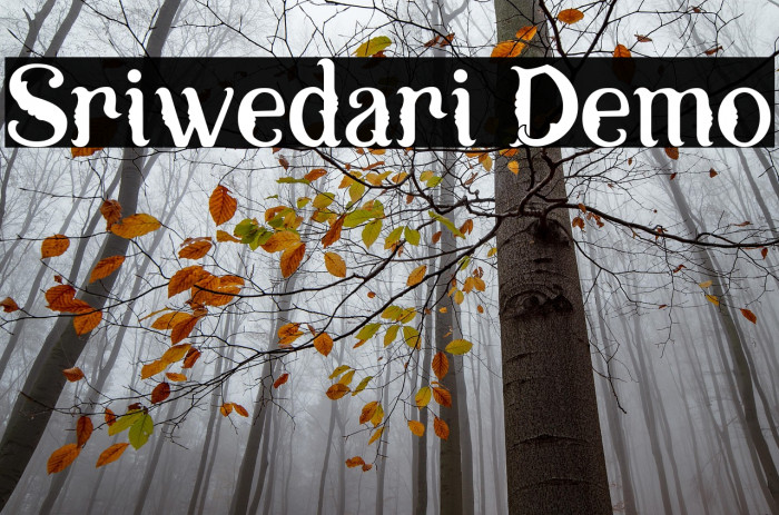 Sriwedari Demo Example 1