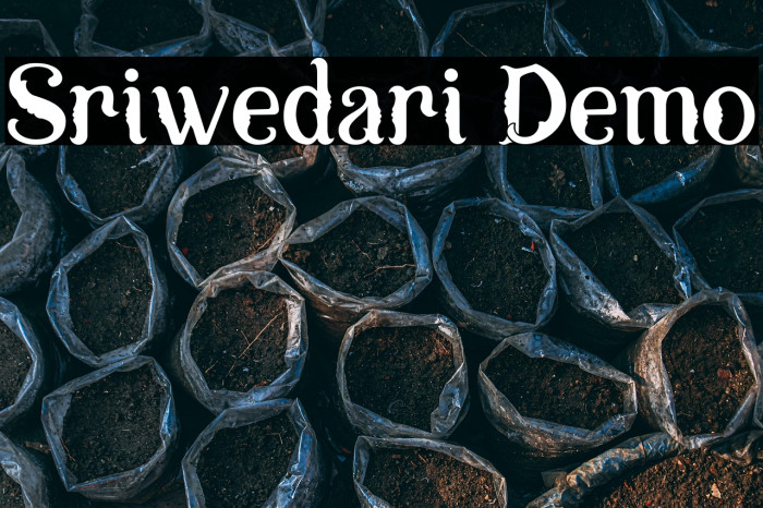 Sriwedari Demo Example 2