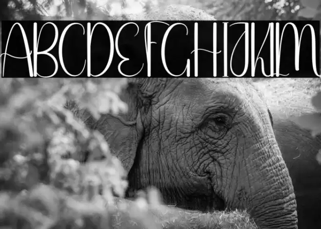 Srundle Font examples