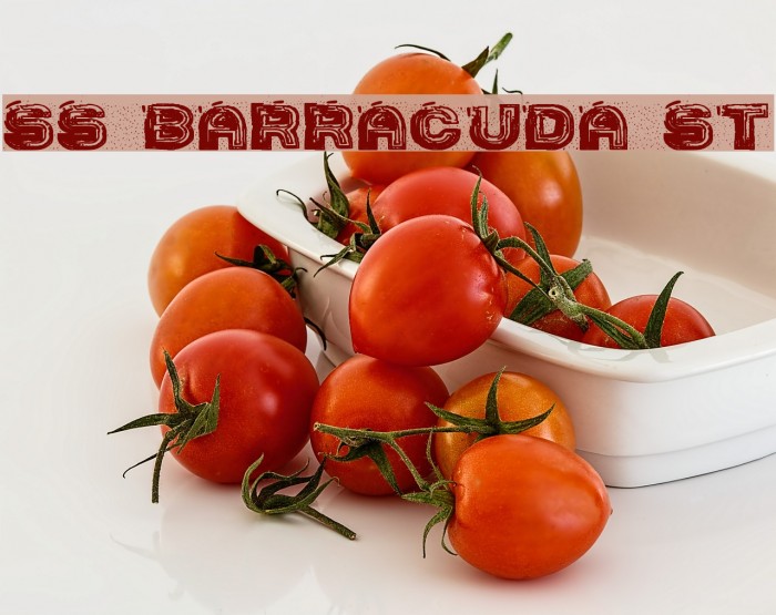 SS Barracuda St Font examples