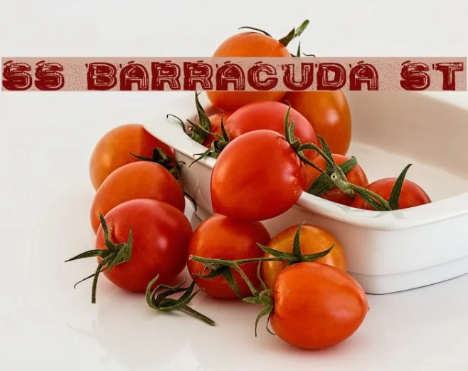 SS Barracuda St Example 2