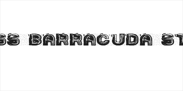 SS Barracuda St Logo