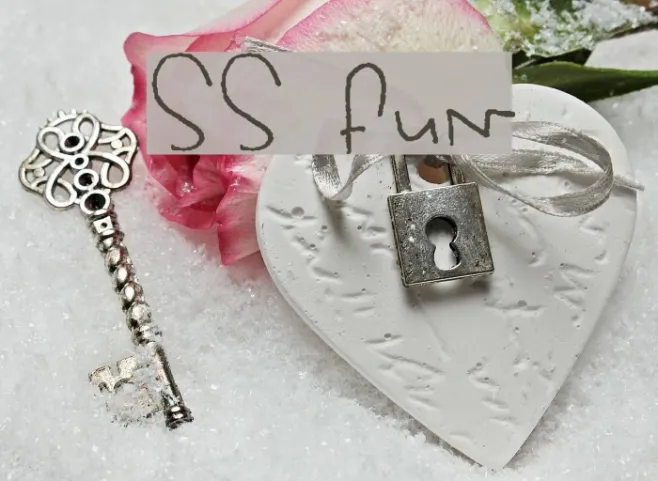 SS Fun Example 1