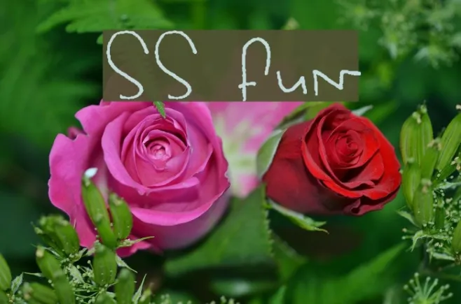 SS Fun Example 2