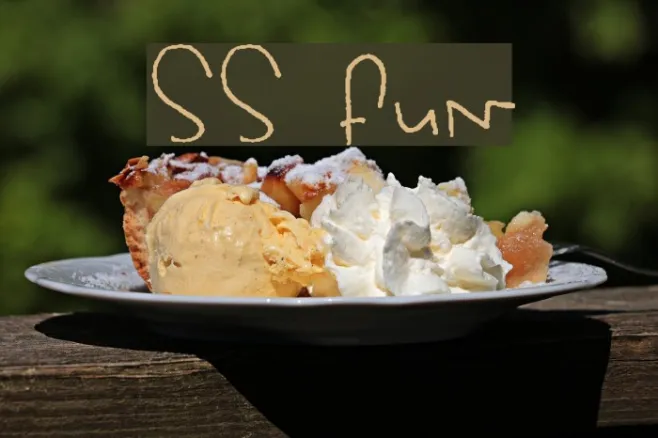 SS Fun Example 3