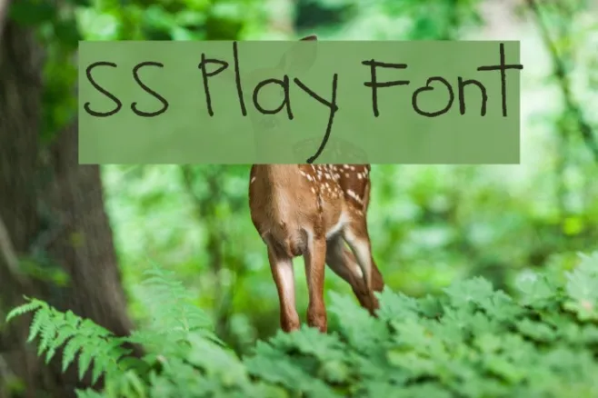 SS Play Font Example 2