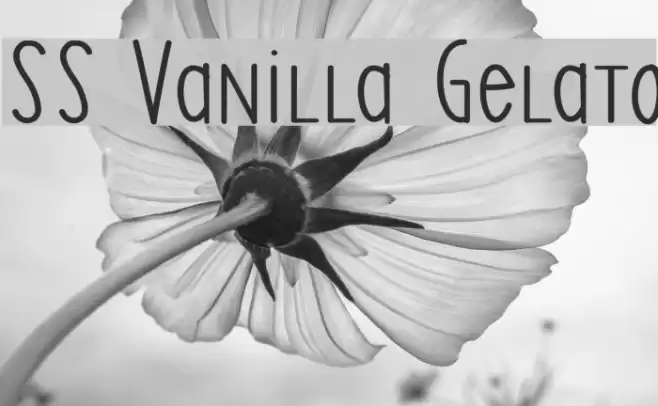 SS Vanilla Gelato Font examples