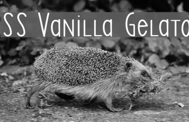 SS Vanilla Gelato Font examples