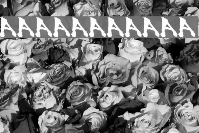 SSF4-ABUKET Fuentes examples