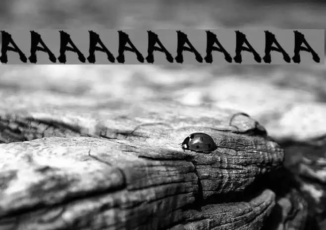 SSF4-ABUKET Fuentes examples