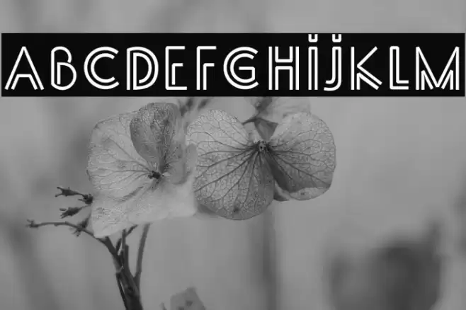 SS_Adec2.0_main Font examples