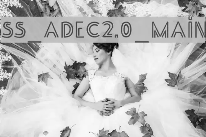 SS_Adec2.0_main Font examples