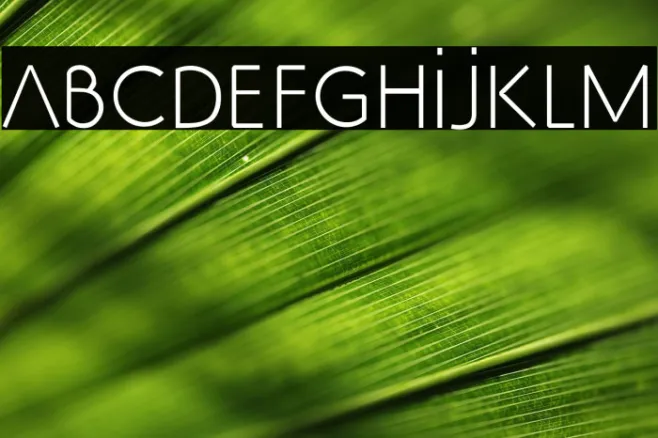 SS_Adec2.0_text Example 3