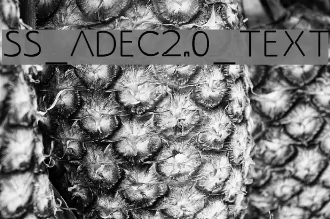 SS_Adec2.0_text Font examples