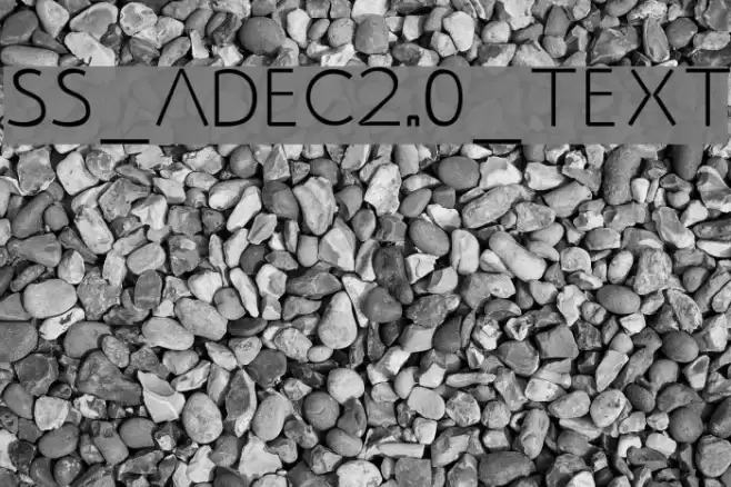 SS_Adec2.0_text Font examples