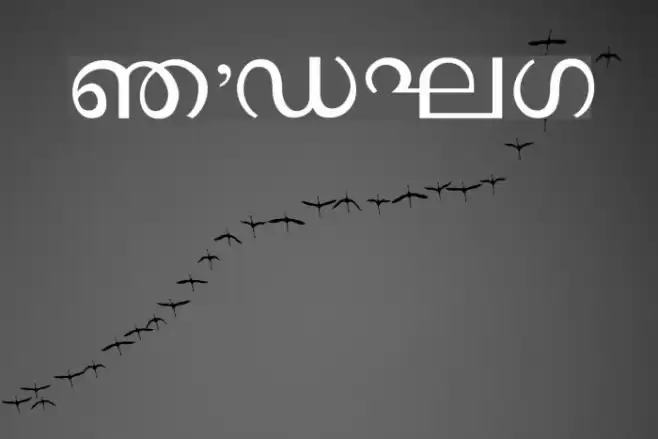 Ssoft's-Veena-ML フォント examples