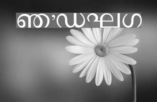 Ssoft's-Veena-ML フォント examples