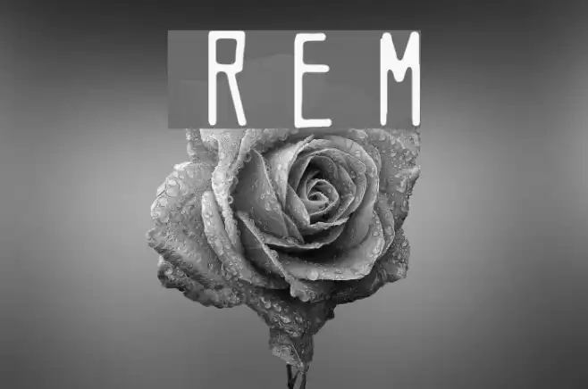 ss Rapid Eye Moe Fuentes examples