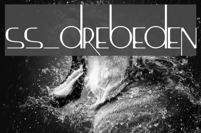 ss_drebeden Font examples