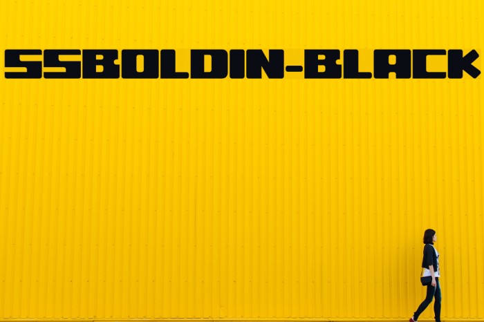 ssboldin-Black Font examples