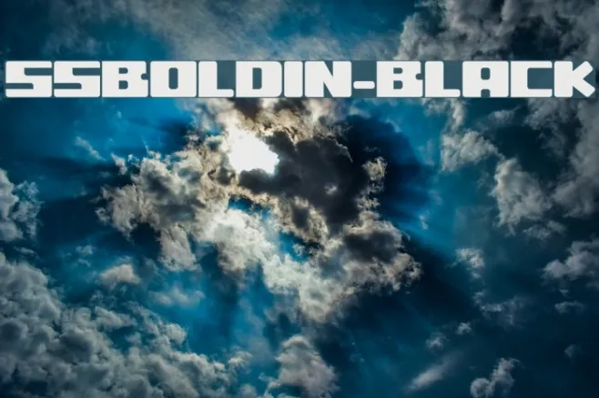 ssboldin-Black Example 3