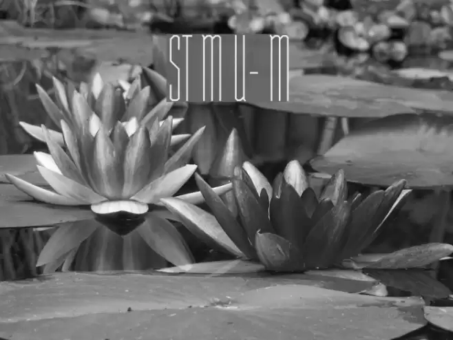 ST Moviehead Ultra-condensed Medium Schriftart examples