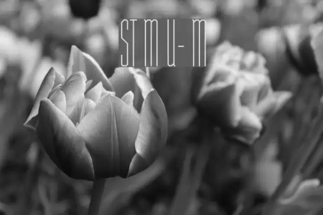 ST Moviehead Ultra-condensed Medium Schriftart examples