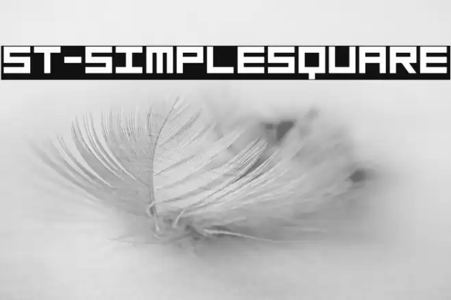 ST-SimpleSquare Font examples