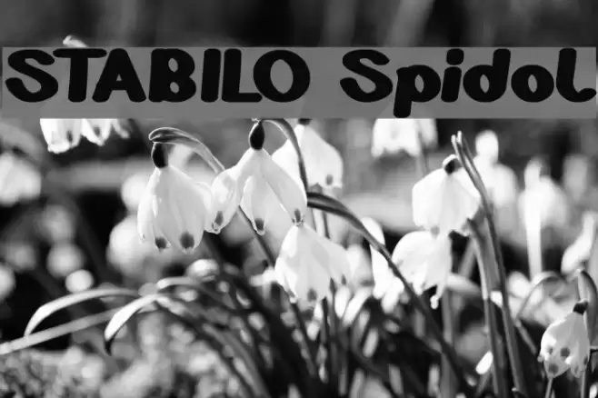 STABILO Spidol Font examples