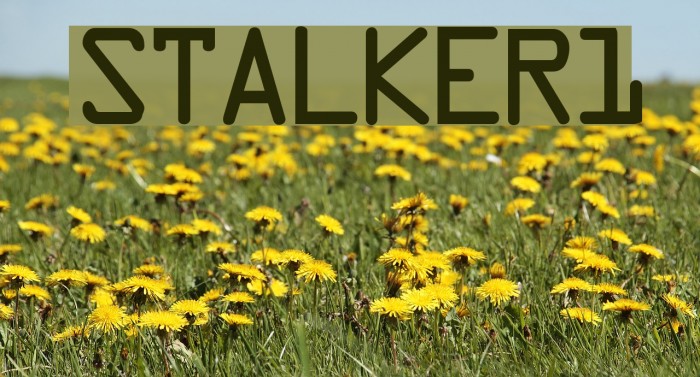 STALKER1 Font examples