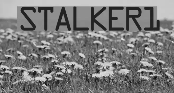 STALKER1 フォント examples