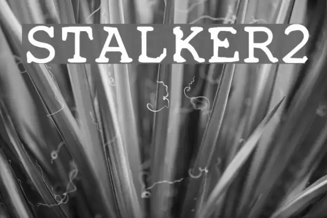 STALKER2 Font examples