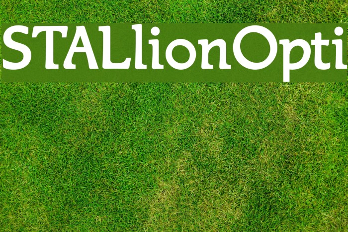 STALlionOpti Font examples