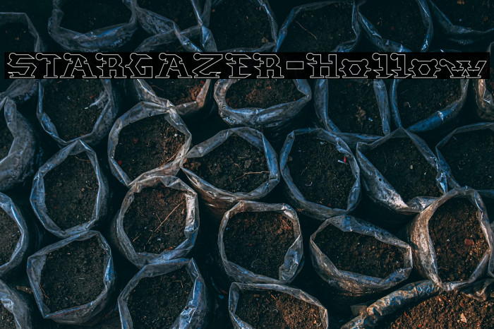 STARGAZER-Hollow Example 3