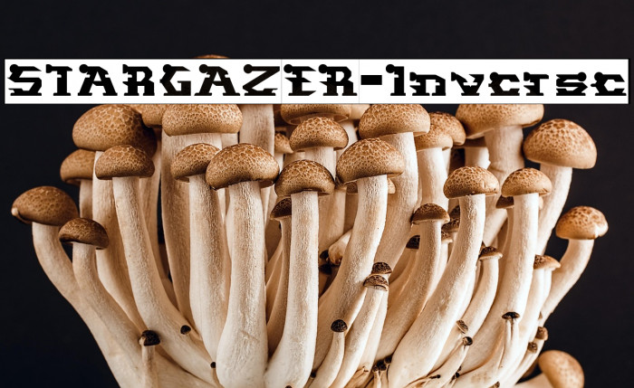 STARGAZER-Inverse Example 1