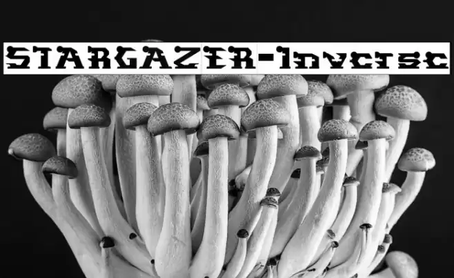 STARGAZER-Inverse Font examples