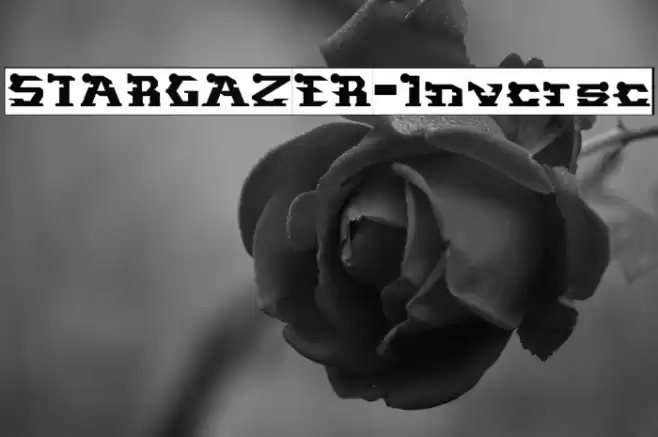 STARGAZER-Inverse Font examples