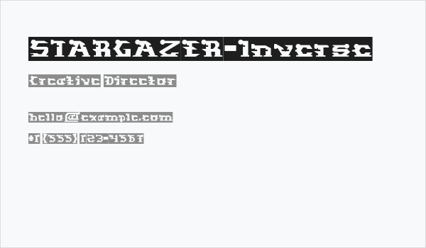 STARGAZER-Inverse Business Card