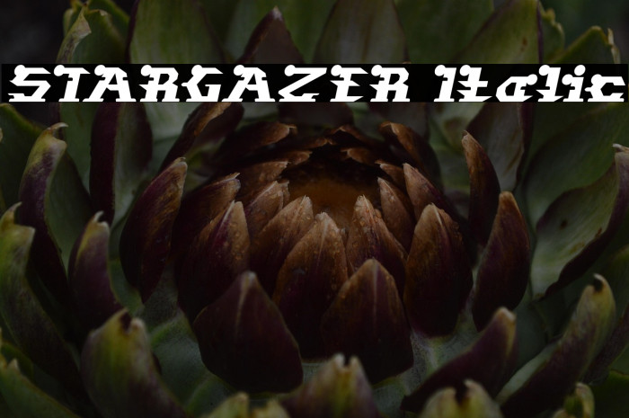 STARGAZER Italic Example 2