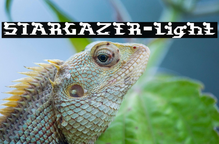 STARGAZER-Light Example 2